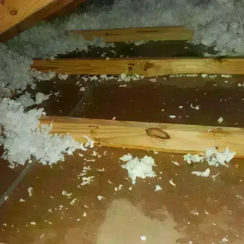 Attic Water Damage in Harris County, TX