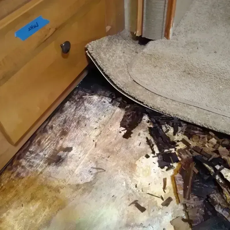 Wood Floor Water Damage in Harris County, TX